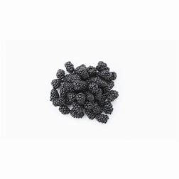 Freeze-Dried Blackberries!